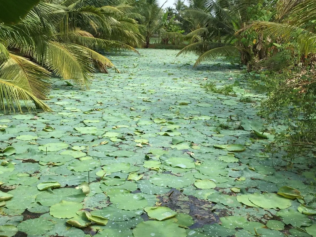 Lilly Ribera Residency Bed & Breakfast Kumarakom